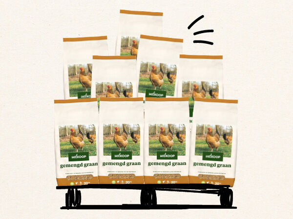 Gemengd graan kip welkoop promo